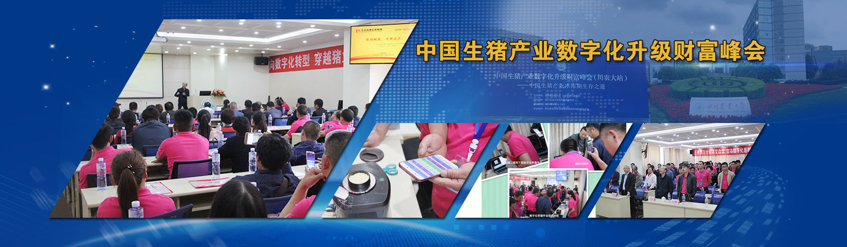 wellbet官方网站电脑